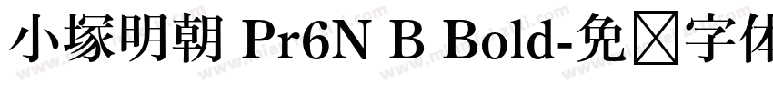 小塚明朝 Pr6N B Bold字体转换